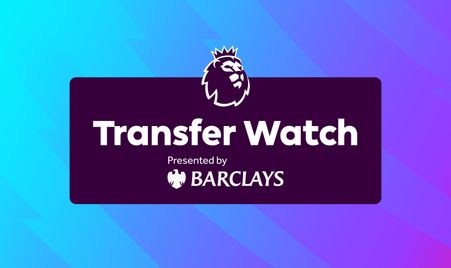 迷们充满了 迷们充满了