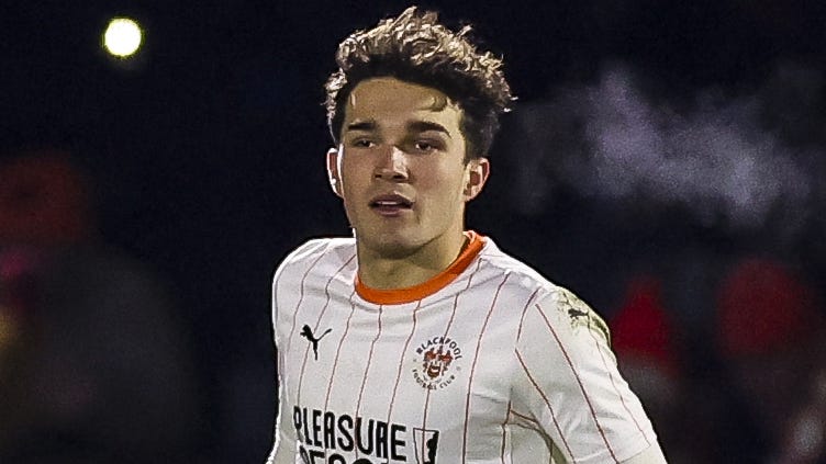 在近年来的 在近年来的